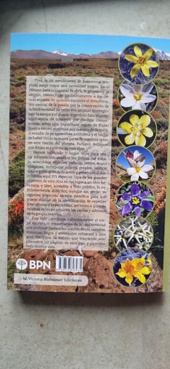 Flora de los Semidesiertos de Sudamérica templada - comprar online