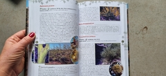 Flora de los Semidesiertos de Sudamérica templada - ANIMALES AUTOCTONOS PARA NIÑOS NATIVOS