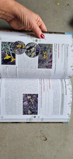 Flora de los Semidesiertos de Sudamérica templada - tienda online