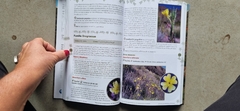 Flora de los Semidesiertos de Sudamérica templada - tienda online