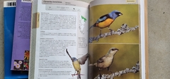 Libro aves terrestres de la Patagonia Argentina y Chile - ANIMALES AUTOCTONOS PARA NIÑOS NATIVOS