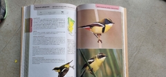 Libro aves terrestres de la Patagonia Argentina y Chile - tienda online