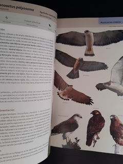 Libro aves terrestres de la Patagonia Argentina y Chile - comprar online