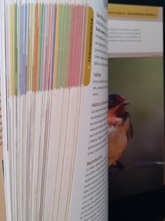 Libro aves terrestres de la Patagonia Argentina y Chile en internet