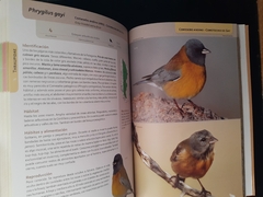 Imagen de Libro aves terrestres de la Patagonia Argentina y Chile