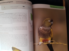 Libro aves terrestres de la Patagonia Argentina y Chile - tienda online