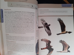 Libro aves terrestres de la Patagonia Argentina y Chile - ANIMALES AUTOCTONOS PARA NIÑOS NATIVOS