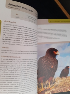 Libro aves terrestres de la Patagonia Argentina y Chile - comprar online