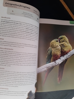 Libro aves terrestres de la Patagonia Argentina y Chile