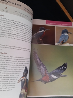 Libro aves terrestres de la Patagonia Argentina y Chile en internet