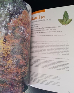 Arboles de los Parques Nacionales del Sur