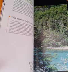 Imagen de Arboles de los Parques Nacionales del Sur