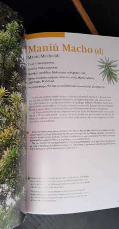 Imagen de Arboles de los Parques Nacionales del Sur