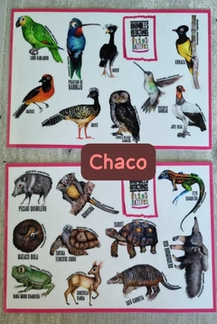 CALCOS DE LA FAUNA DEL BOSQUE CHAQUEÑO X 2