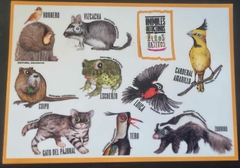 TODOS LOS CALCOS (8 PLANCHAS) - comprar online