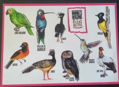 CALCOS DE LA FAUNA DEL BOSQUE CHAQUEÑO X 2 en internet