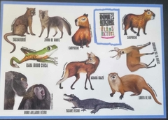 CALCOS LAMINADAS DE LOS ESTEROS DEL IBERÁ X 2
