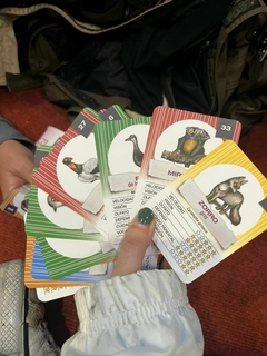 3 MAZOS ANIMACH Cartas de Fauna Autóctona