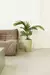 Planta Palmera Areca Artificial 110cm Decoración - comprar online