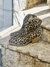 alice texana media print - ZOWE ZAPATOS