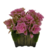 Vaso PL C/ Flor Artificial Sutt