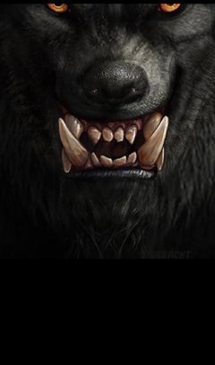Cuello multiuso Diseño Lobo - comprar online