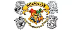 Caneca Harry Potter Casas De Hogwards Estampa Sublimação - comprar online