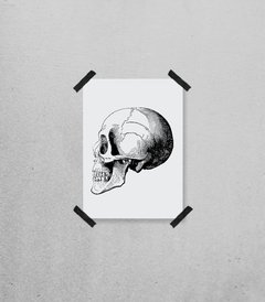 Print Caveira Perfil - comprar online