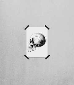 Print Caveira Perfil na internet