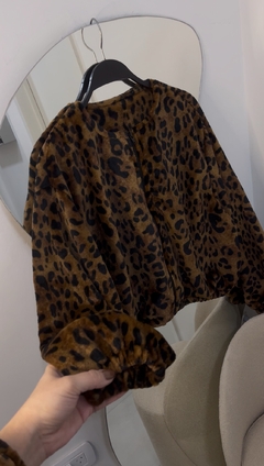 Campera Africa