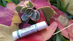 Bálsamo Labial Stick