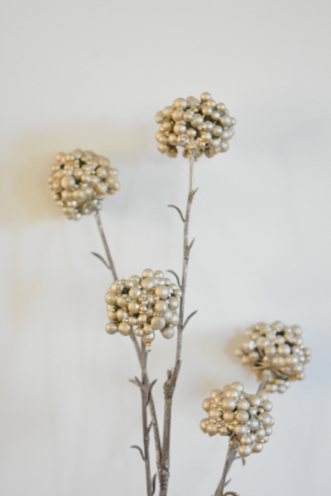 Vara BERRIES 62 CM - comprar online