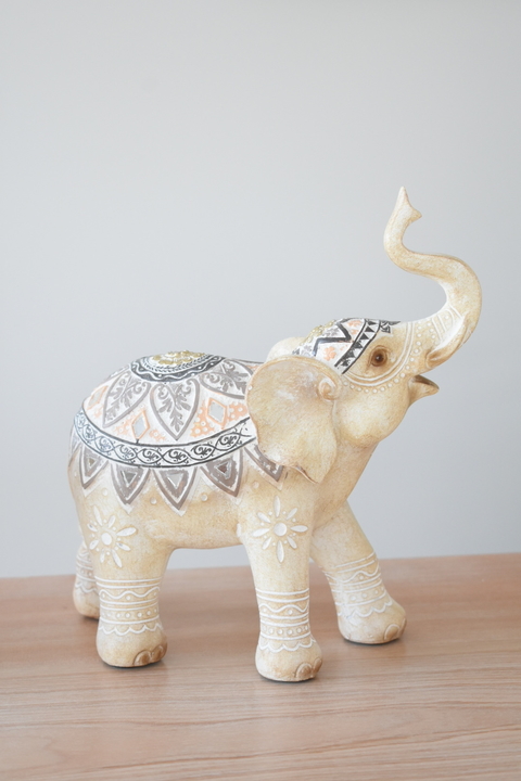 Elefante ASIA MEDIANO