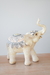 Elefante ASIA MEDIANO