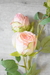 Vara rosa SHABBY - comprar online