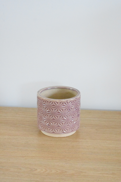 Maceta violeta 10 x 10
