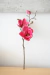 Magnolias MORA 48 CM
