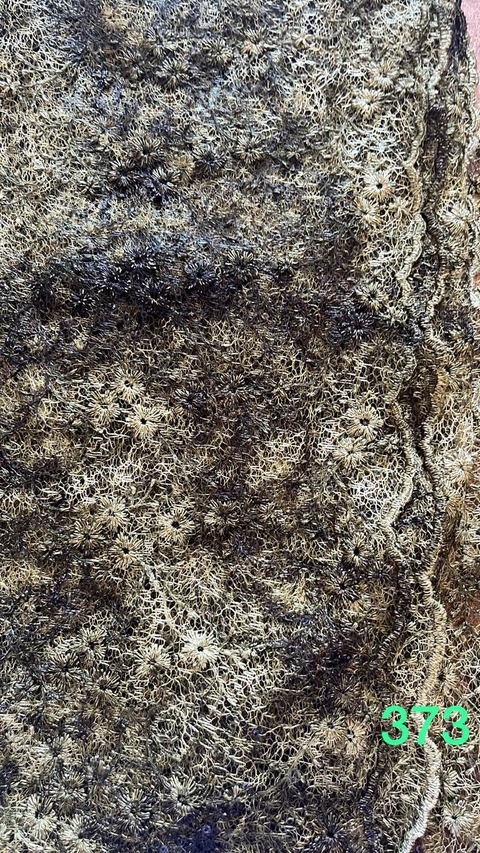 373 - Encaje - CORTE: 1.07 mts x 1.30 mts