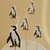 Vela pingüino