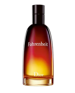 Perfume Fahrenheit Masculino Eau de Toilette 100ml - Dior