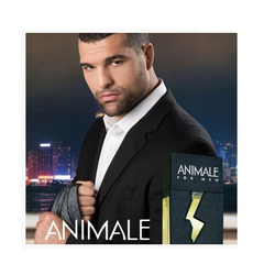 Perfume Animale For Men Masculino Eau de Toilette 100ml - Animale na internet
