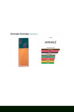 Perfume Animale Eau de Parfum Feminino 100ml - Animale