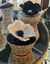 Cupcakes Black and White