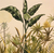 CUADRO BOTANICO SERIE X 4 - comprar online