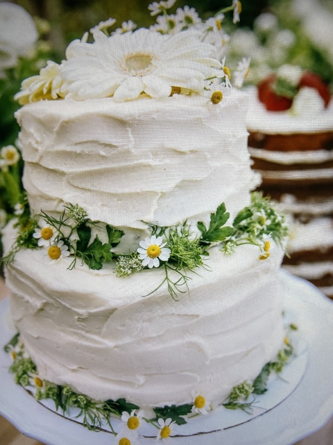 Torta Spring