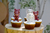 Cupcakes Ositos y Conejos