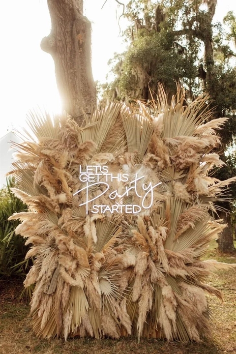 Pared Pampas, Follaje preservado y Cartel Led