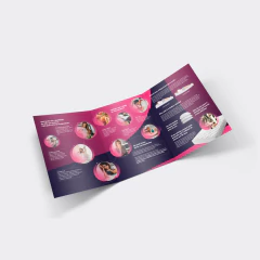 Folder de Apresentação Evolution FIR - Grupo Fênix