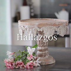 Banner de la categoría HALLAZGOS