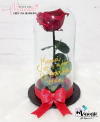 MOM ETERNAL ROSE - comprar online